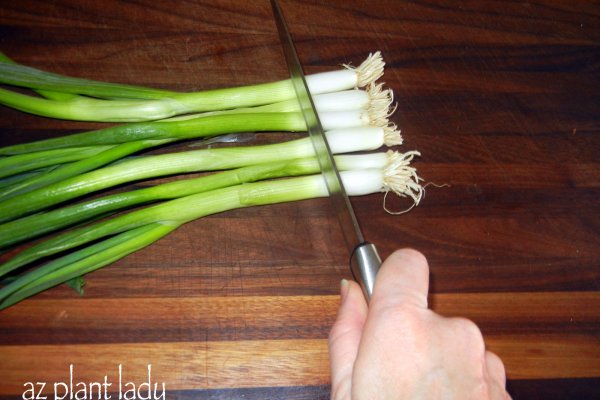 Как зайти на кракен через тор